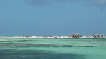 al-jacaranda-beach-resort-di-watamu-30420