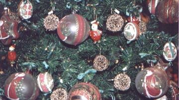 alla-ricerca-delle-tipiche-tradizioni-natalizie-9940