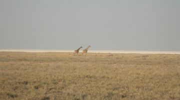 esplorando-lafrica-del-sud-20904