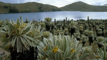 il-dolce-e-lamaro-di-un-viaggio-in-ecuador-e-galapagos-28728