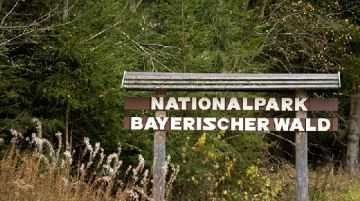 il-nationalpark-bayerischer-wald-21018