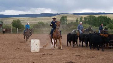 in-un-ranch-del-colorado-cowboy-tra-i-cowboys-8191