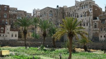 in-yemen-con-mohammed-25286