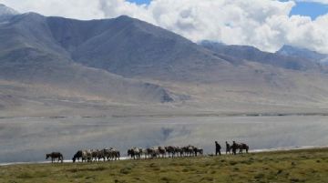 india-e-ladakh-2012-atto-secondo-46230