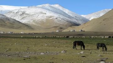 india-e-ladakh-2012-atto-secondo-46234