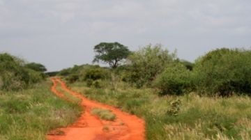 kenya-natale-in-safari-26376