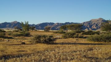 la-namibia-il-paese-dai-mille-colori-11447
