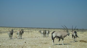 la-namibia-il-paese-dai-mille-colori-11469