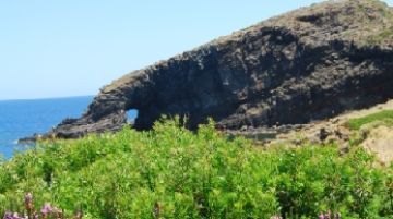 la-perla-nera-del-mediterraneo-benvenuti-a-pantelleria-23718
