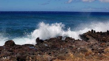 le-hawaii-il-grande-sogno-10973