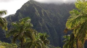 le-hawaii-il-grande-sogno-11001