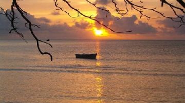 le-seychelles-il-sogno-tropicale-che-si-avvera-11940