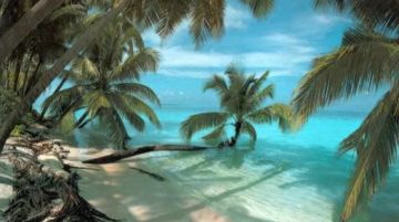 maldive-relax-a-veligandu-15325