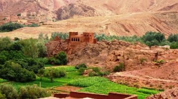 marocco-estate-2012-46088