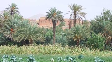 marocco-le-meraviglie-nascoste-del-regno-doccidente-40403