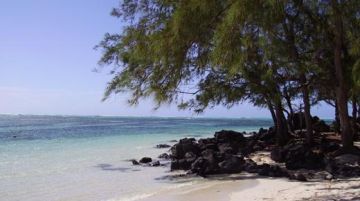 mauritius-in-relax-17142