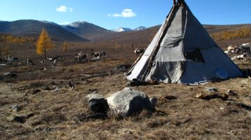 mongolia-la-migrazione-delle-renne-38957