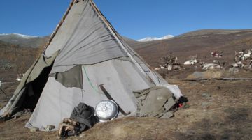 mongolia-la-migrazione-delle-renne-38961