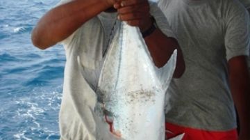 navigando-fra-le-maldive-28141