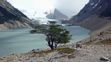 patagonia-terra-estrema-38603