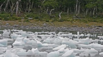 patagonia-terra-estrema-38615
