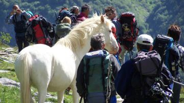pirenei-trekking-la-montagna-con-la-m-maiuscola-12282