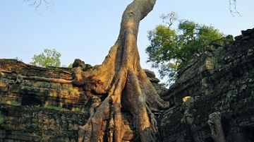 profumi-dindocina-la-cambogia-parte-seconda-35950