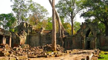 profumi-dindocina-la-cambogia-parte-seconda-35958