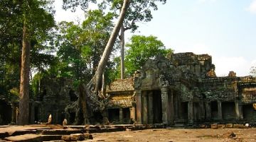 profumi-dindocina-la-cambogia-parte-seconda-35960