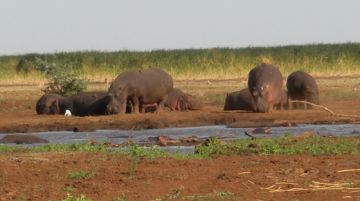 safari-in-tanzania-con-tenda-e-sacco-a-pelo-42245