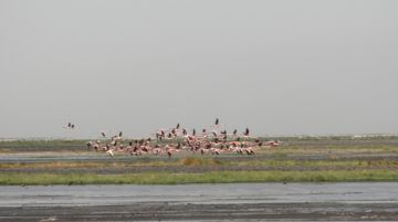 safari-in-tanzania-con-tenda-e-sacco-a-pelo-42248