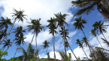 seychelles-quale-isola-scegliere63-47479