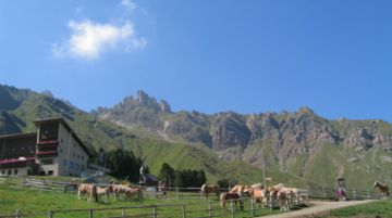 tra-parco-naturale-dello-sciliar-ed-alpe-di-siusi-2535