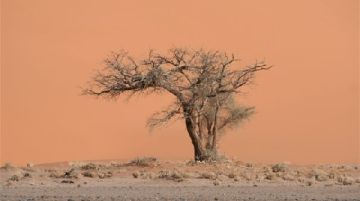 viaggio-in-namibia-31598