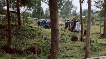viaggio-in-uganda-e-rwanda-gorilla-e-non-solo-10237