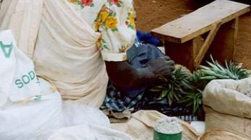 viaggio-in-uganda-e-rwanda-gorilla-e-non-solo-10251