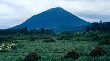 viaggio-in-uganda-e-rwanda-gorilla-e-non-solo-10254
