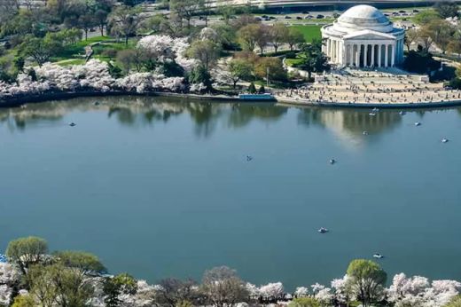 Viaggio alla scoperta di Washington D.C: La Capitale degli Stati Uniti