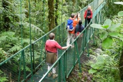 Costa Rica, pura vida! – Il Parque Nacional Monteverde