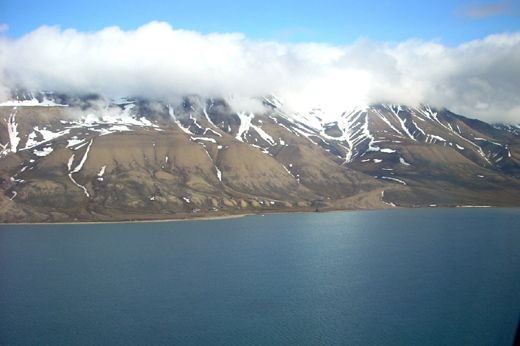 Svalbard low cost