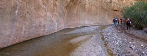 Marocco da scoprire: trekking nelle Gole di Agouti