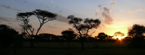 Amazing Tanzania: Serengeti National Park