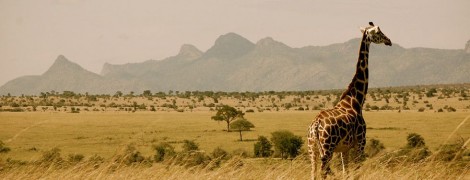 Uganda, la Perla d’Africa
