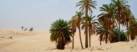 Djerba e il sud tunisino